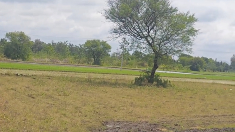  5 Acre Agricultural/Farm Land for Sale in Mysore Road, Bangalore