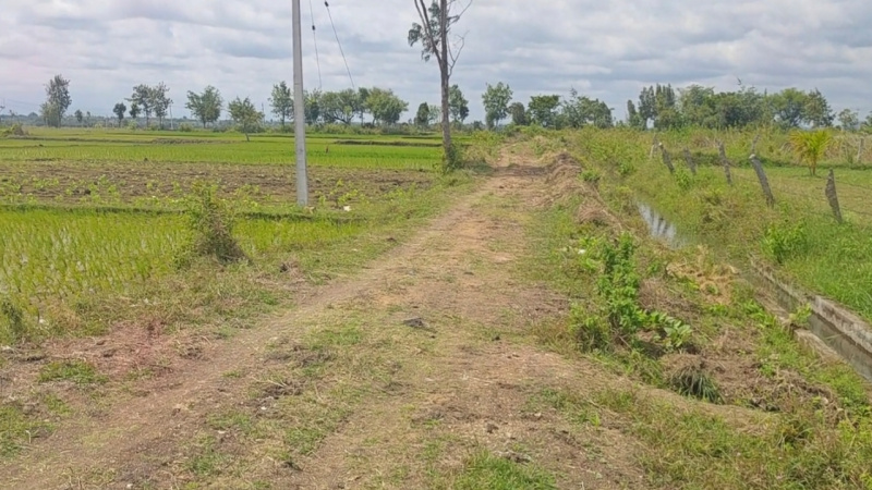  5 Acre Agricultural/Farm Land for Sale in Mysore Road, Bangalore