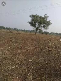  Agricultural Land for Sale in Shahpura, Dindori
