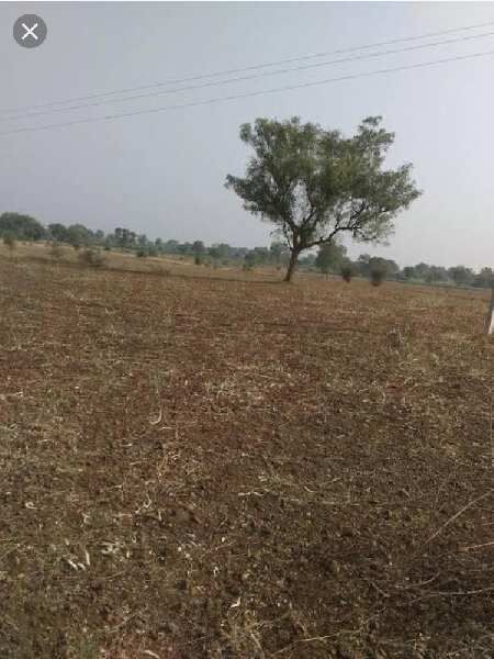  Agricultural Land 2 Ares for Sale in Shahpura, Dindori
