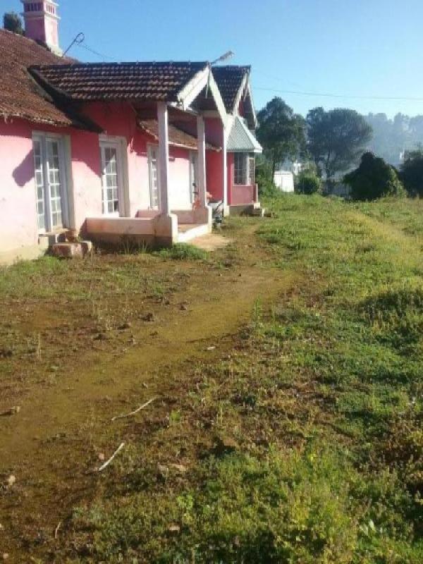 Kathadimattam, Ooty photo 4