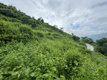  Agricultural Land for Sale in Neelkanth Road, Rishikesh