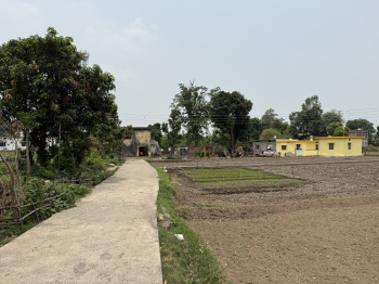  Agricultural Land for Sale in Barrage Colony, Rishikesh