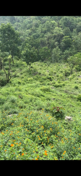  Agricultural Land for Sale in Neelkanth Road, Rishikesh