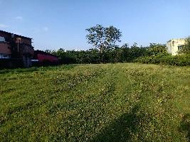  Agricultural Land for Sale in Ranipokhari, Dehradun