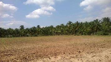  Residential Plot for Sale in Lapkaman, Ahmedabad