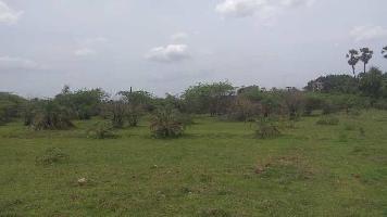  Residential Plot for Sale in Sriperumbudur, Chennai