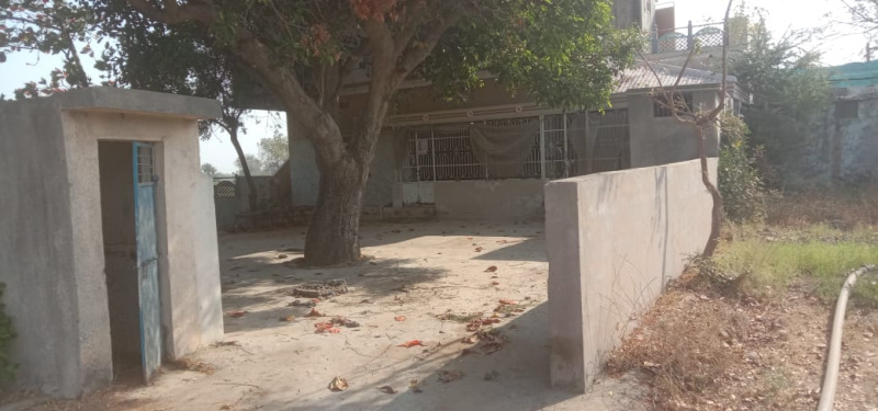  Agricultural Land 40 Bigha for Sale in Dhansura, Aravalli