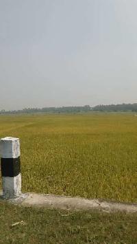  Agricultural Land for Sale in Gobichettipalayam, Erode