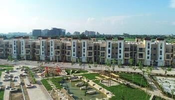 3 BHK Flat for Sale in Sector 77 Faridabad