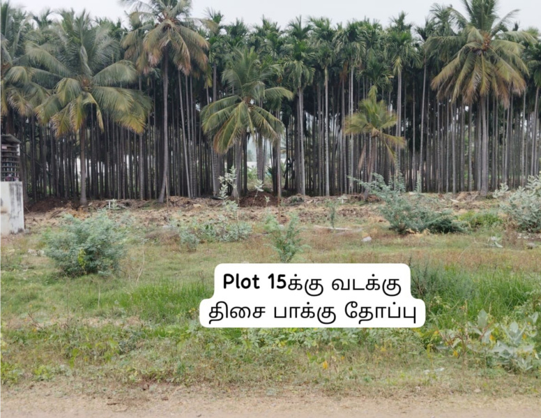  1500 Sq.ft. Residential Plot for Sale in Kannankurichi, Salem