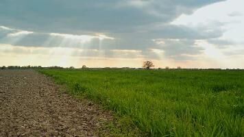  Agricultural Land for Sale in Chandauli, Mughalsarai