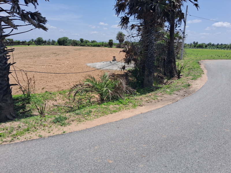  Agricultural Land 96 Cent for Sale in Kalavai, Vellore