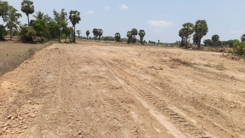  Agricultural Land 130 Cent for Sale in Kalavai, Vellore