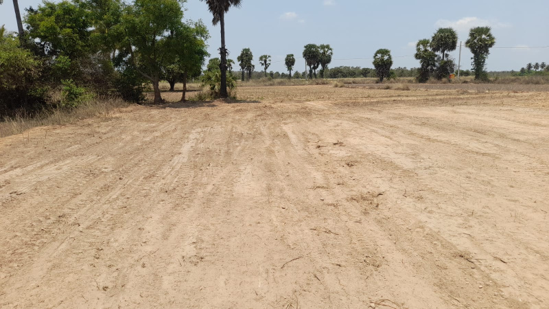  Agricultural Land 130 Cent for Sale in Kalavai, Vellore