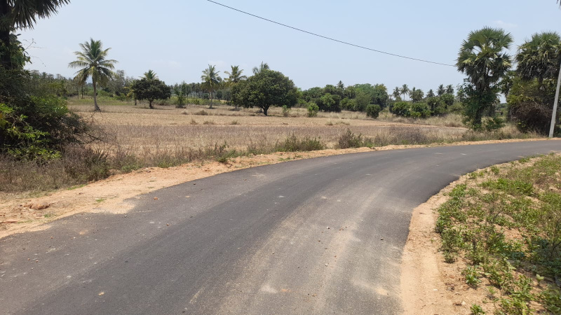  Agricultural Land 130 Cent for Sale in Kalavai, Vellore