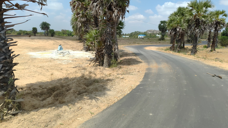  Agricultural Land 96 Cent for Sale in Kalavai, Vellore