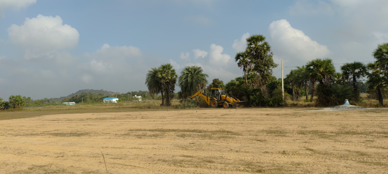  Agricultural Land 96 Cent for Sale in Kalavai, Vellore