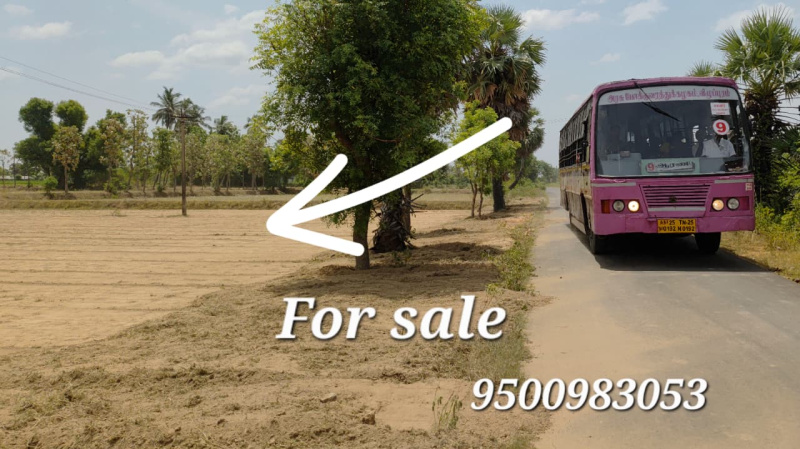  Agricultural Land 55 Cent for Sale in Kalavai, Vellore