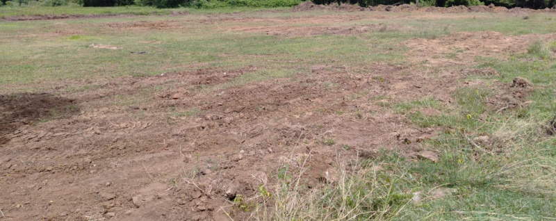  40 Cent Agricultural/Farm Land for Sale in Kalavai, Vellore