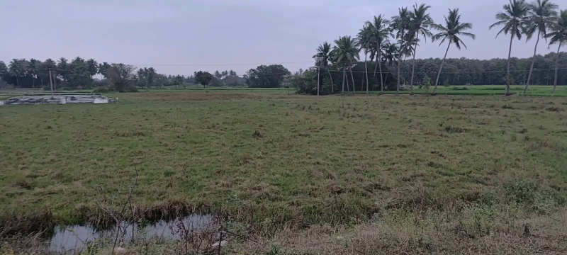  2 Acre Agricultural/Farm Land for Sale in Kalavai, Vellore