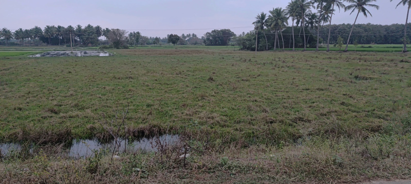  2 Acre Agricultural/Farm Land for Sale in Kalavai, Vellore