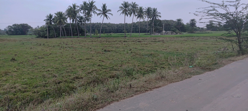  2 Acre Agricultural/Farm Land for Sale in Kalavai, Vellore