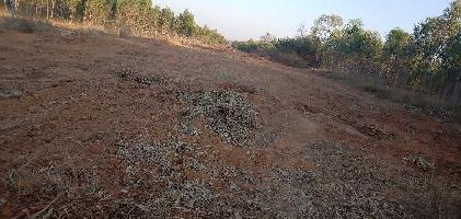  Agricultural Land for Sale in Nelamangala, Bangalore