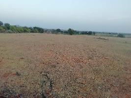  Agricultural Land for Sale in Somandepalli, Anantapur