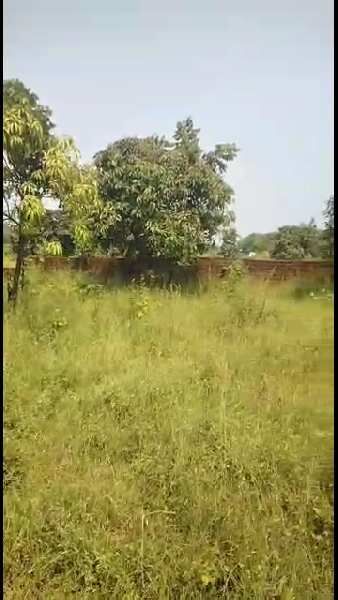 1 BHK Farm House 2.3 Acre for Sale in Titwala, Thane