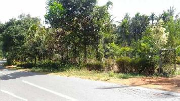  Residential Plot for Sale in Pulpally, Wayanad