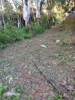  Residential Plot for Sale in Ranni, Pathanamthitta