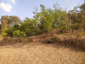  Agricultural Land for Sale in Mahad, Raigad