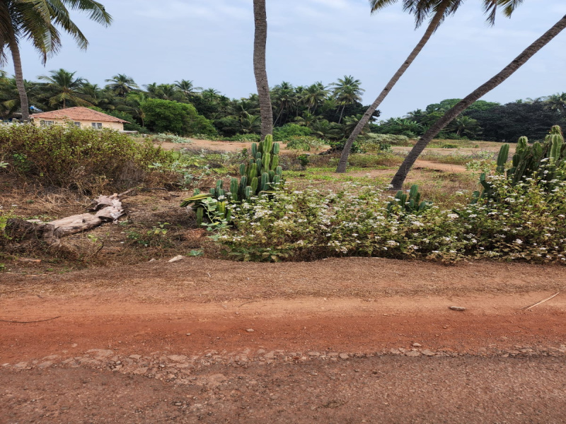  Commercial Land 14 Guntha for Sale in Ram Nagar, Mangalore