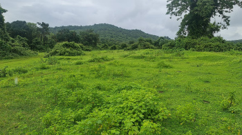  Agricultural Land for Sale in Pernem, Goa