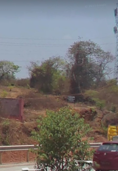 Commercial Land for Sale in Colvale, Goa