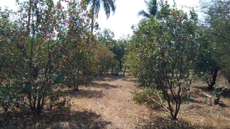  Industrial Land 5 Acre for Sale in Bhilad, Vapi