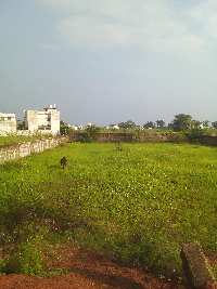  Commercial Land for Sale in Amleshwar, Raipur