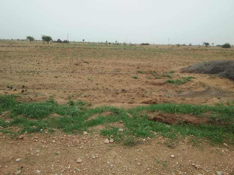 Agricultural Land 54450 Sq. Yards for Sale in Beechwal, Bikaner
