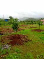  Agricultural Land for Sale in Pen, Raigad