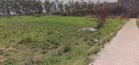  Residential Plot for Sale in Sector 4 Kurukshetra