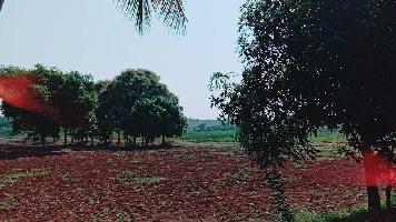  Agricultural Land for Sale in Dindori, Nashik