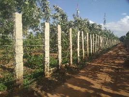  Agricultural Land for Rent in Devanahalli, Bangalore