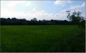  Agricultural Land for Sale in Pukhrayan, Kanpur Dehat