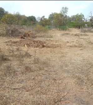  Agricultural Land 16 Acre for Sale in Lepakshi, Anantapur