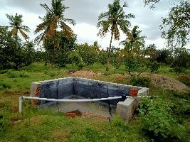 Agricultural Land for Sale in Puttaparthi, Anantapur