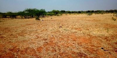  Agricultural Land for Sale in Hindupur, Anantapur