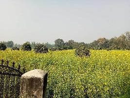  Agricultural Land for Rent in Tikait Nagar, Barabanki
