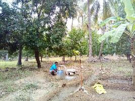  Agricultural Land for Sale in Natham Road, Madurai
