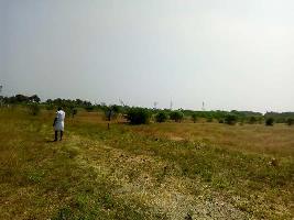  Commercial Land for Sale in Pallapatti, Dindigul